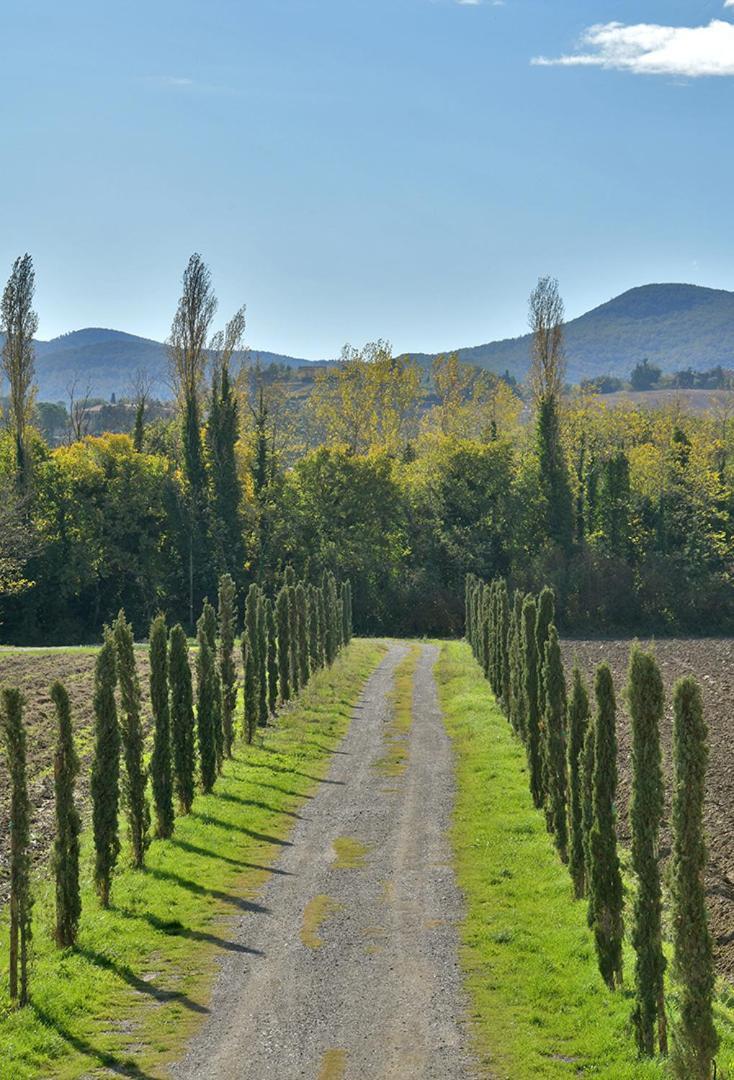 Podere La Querciola Гуардісталло Екстер'єр фото